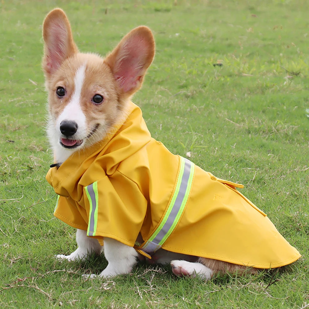 As the rain falls down Raincoat